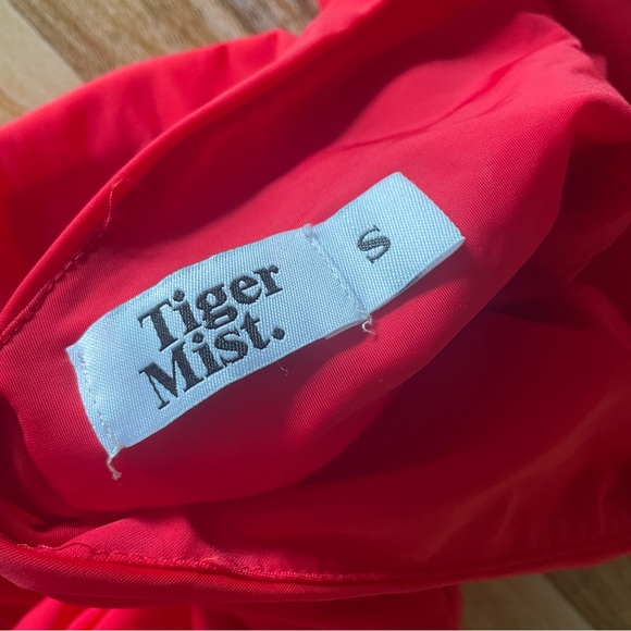 Tiger Mist Scrunched Mini Dress - Picture 6 of 6